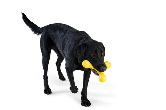 Skamp® Dog Toy For Play, Tug, and Fetch