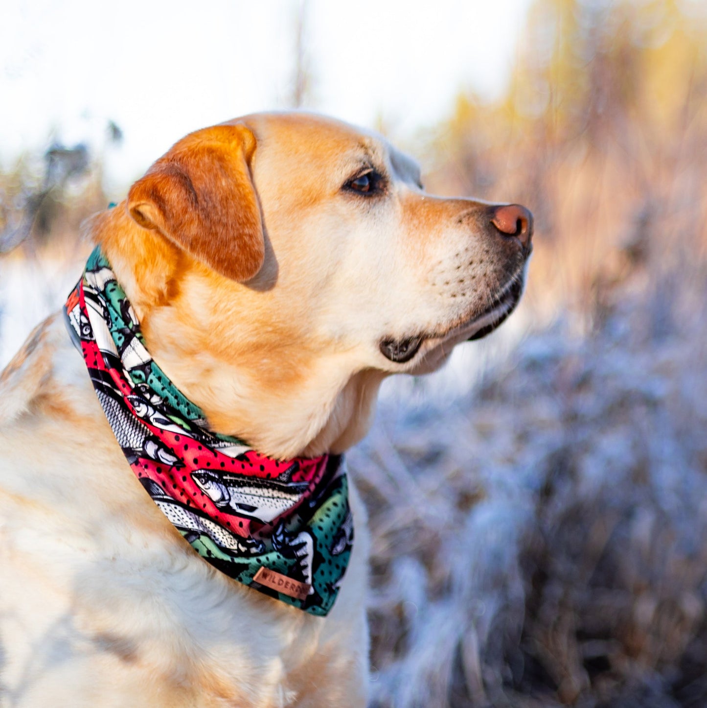 Gone Fishing Cooling Bandana