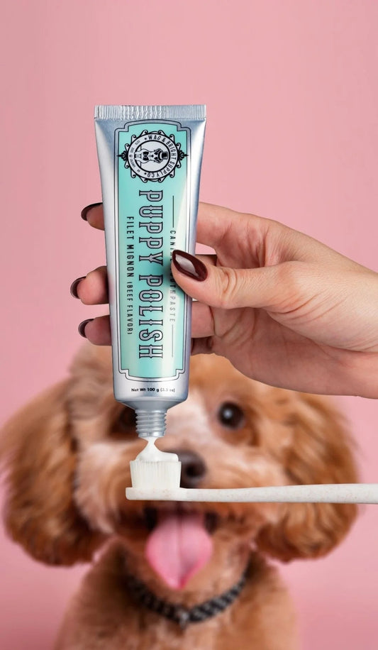 Puppy Polish Toothpaste - Beef