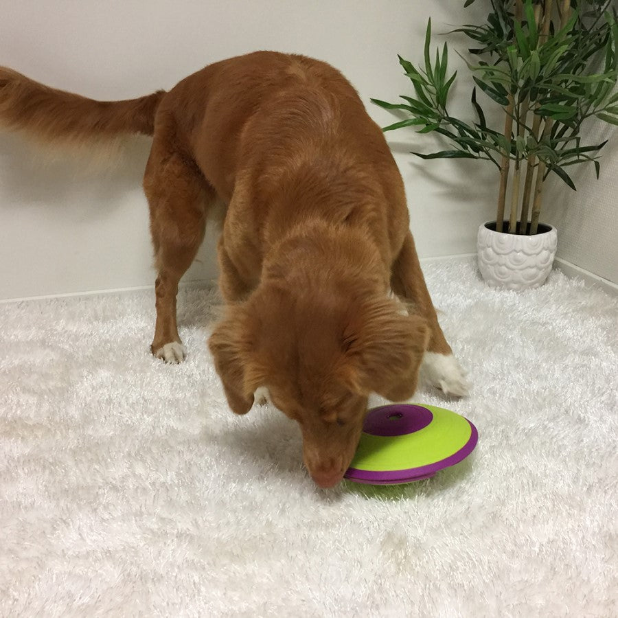 Nina Ottosson Dog Treat Maze Interactive Treat Dog Puzzle Toy Level 2