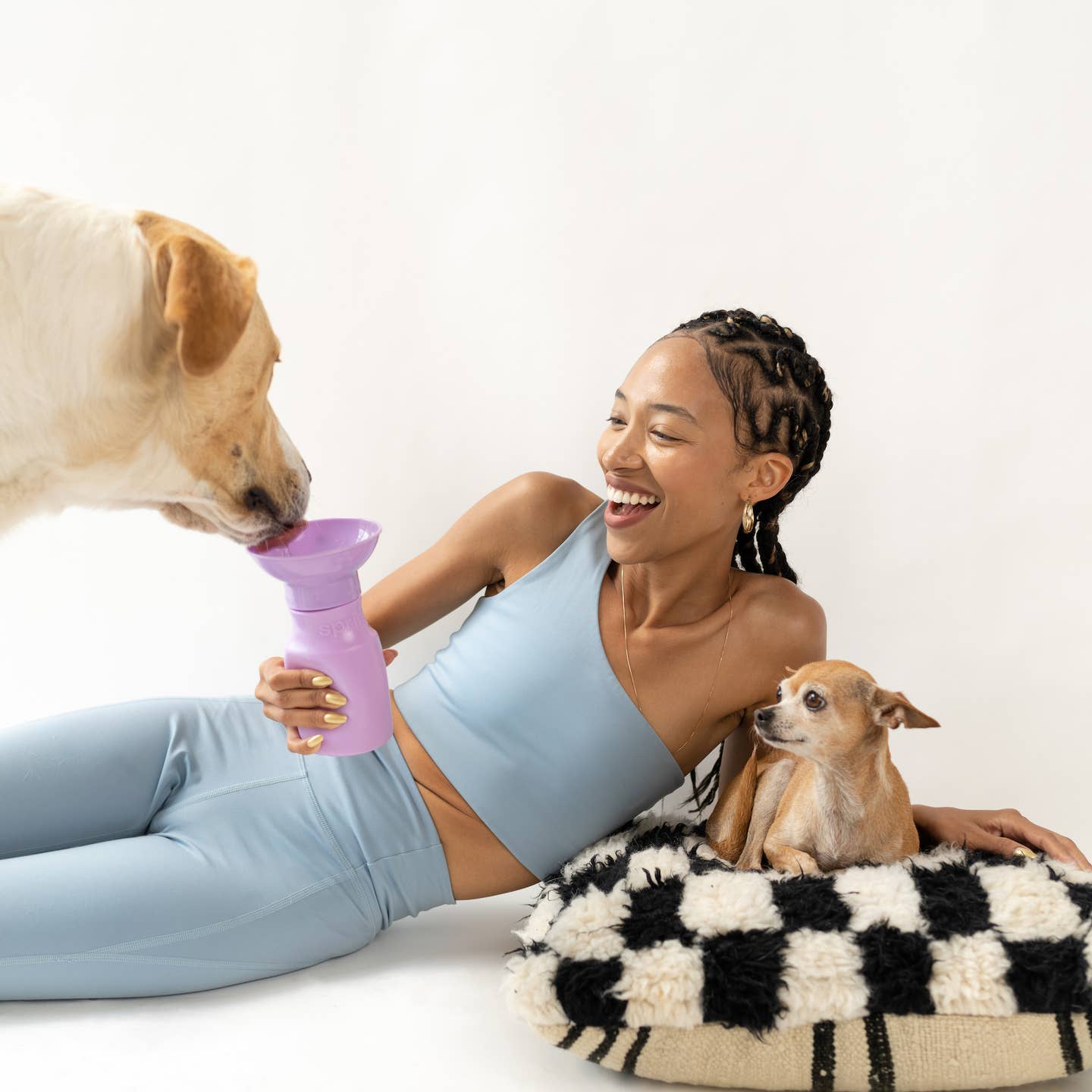 Springer Dog Travel Water Bottle - 15oz Mini - Lavender