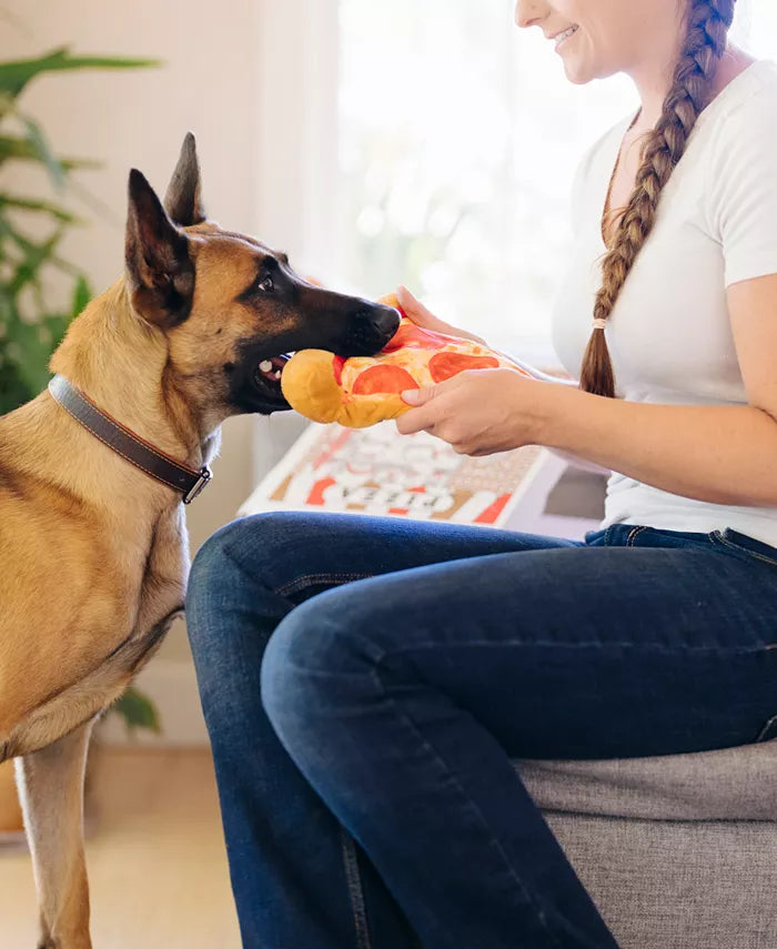 Puppy-roni Pizza Toy