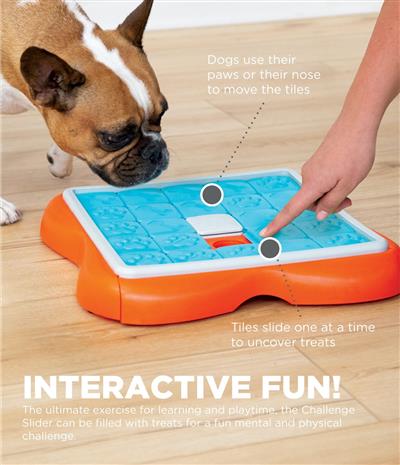 Nina Ottosson Challenge Slider Interactive Treat Dog Puzzle - Level 3