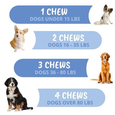 Under the Weather Disc & Spine Soft Chews - 60 ct