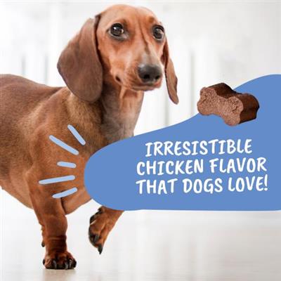 Under the Weather Disc & Spine Soft Chews - 60 ct