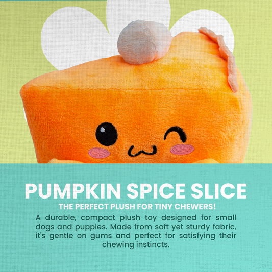 Pumpkin Slice Dog Toy