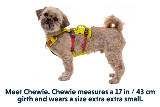 Ruffwear Flagline Lichen Green Dog Harness