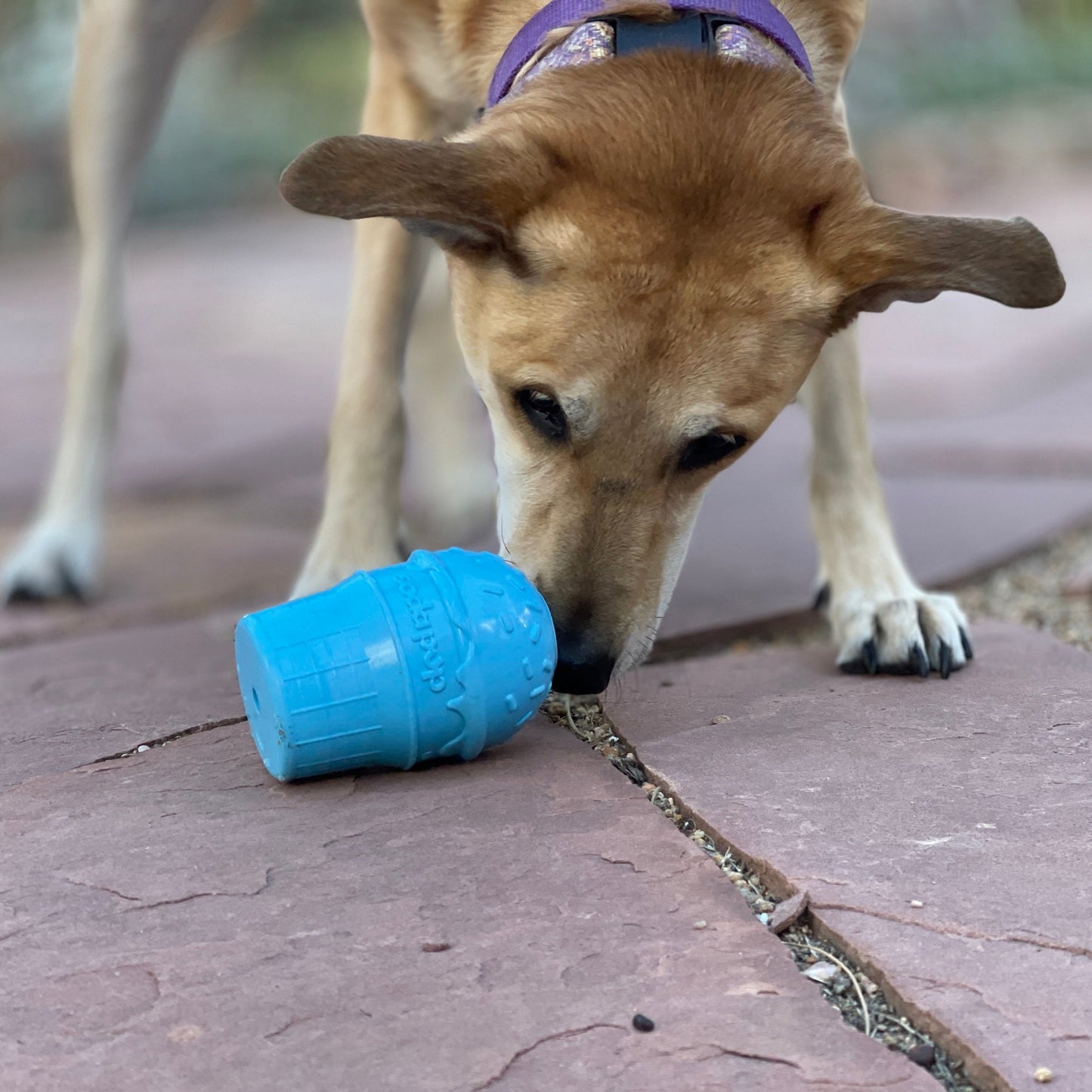 Ice Cream Cone Durable Pup-X Rubber Chew Toy & Treat Dispenser