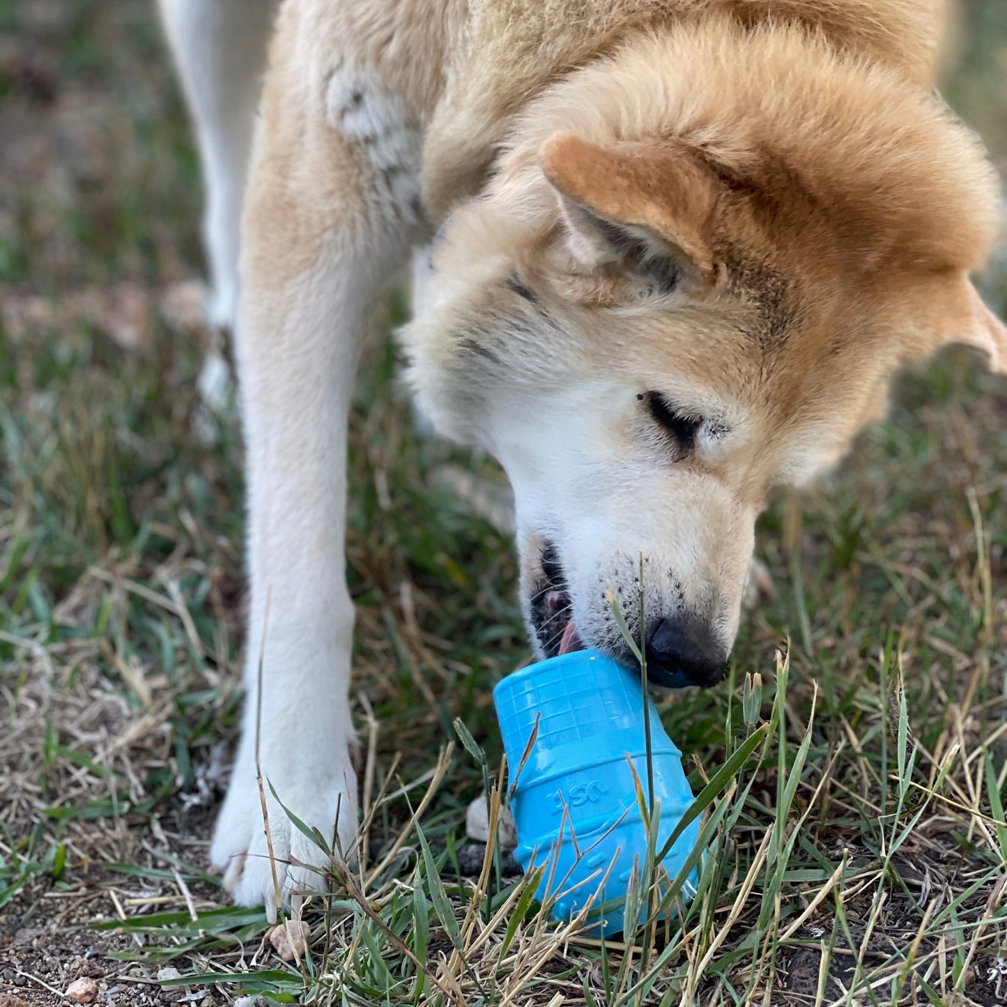 Ice Cream Cone Durable Pup-X Rubber Chew Toy & Treat Dispenser