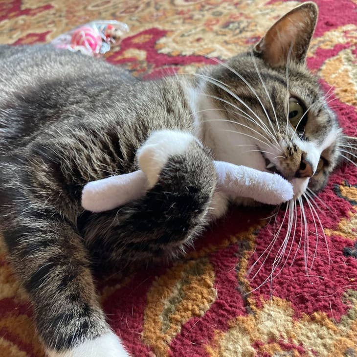 Smokey's Stash Pre Rolled Catnip Joints (5 Pack)