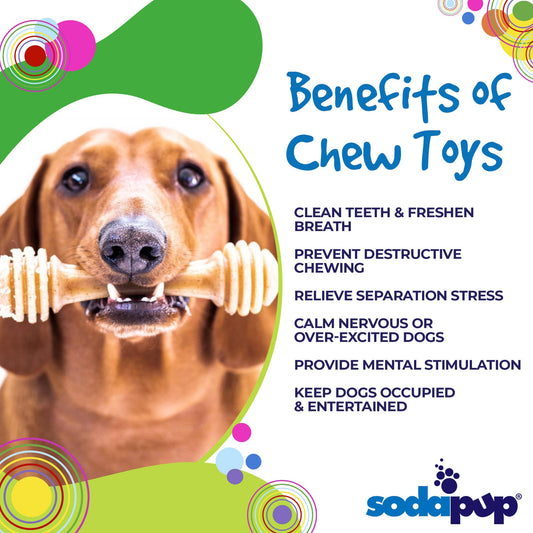 Honey Bone Ultra Durable Nylon Dog Chew Toy - Large