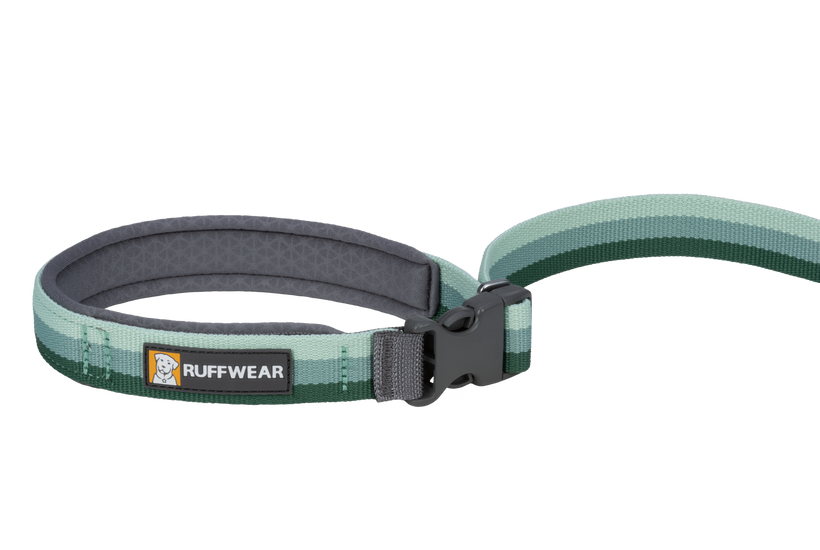 Ruffwear Roamer Bungee Leash
