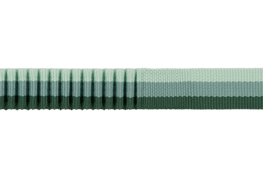 Ruffwear Roamer Bungee Leash