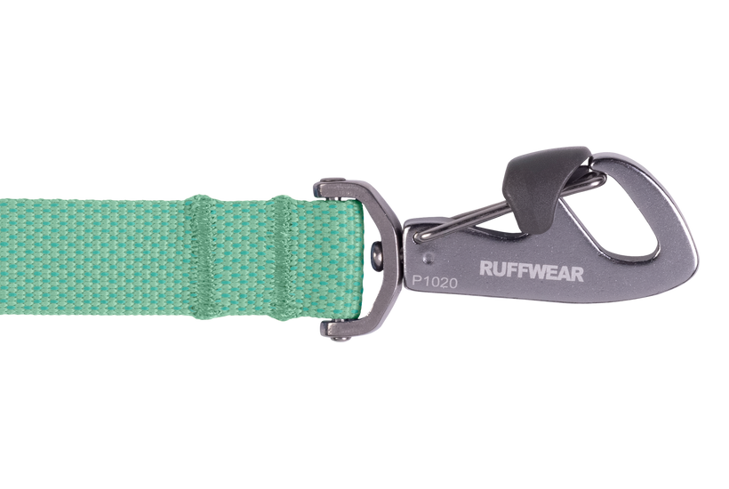 Sage Green Flagline Dog Leash