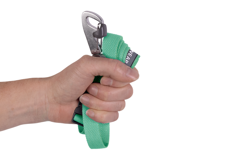 Sage Green Flagline Dog Leash