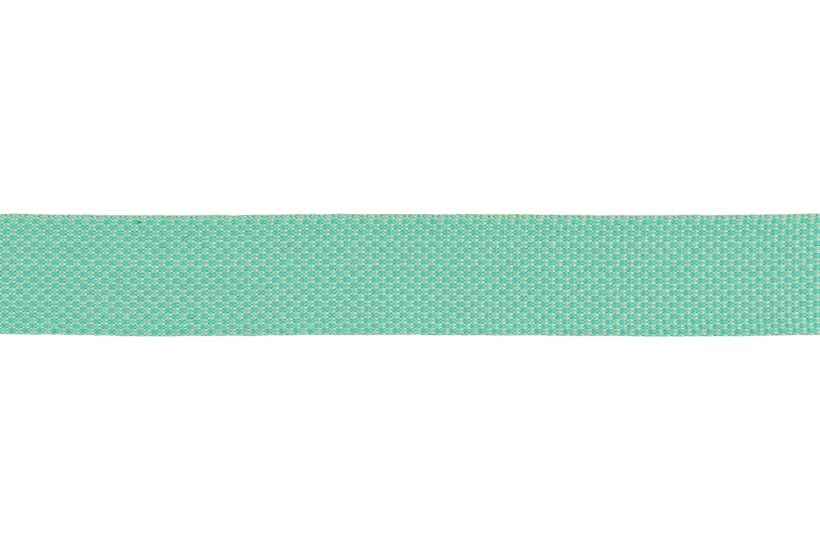 Sage Green Flagline Dog Leash