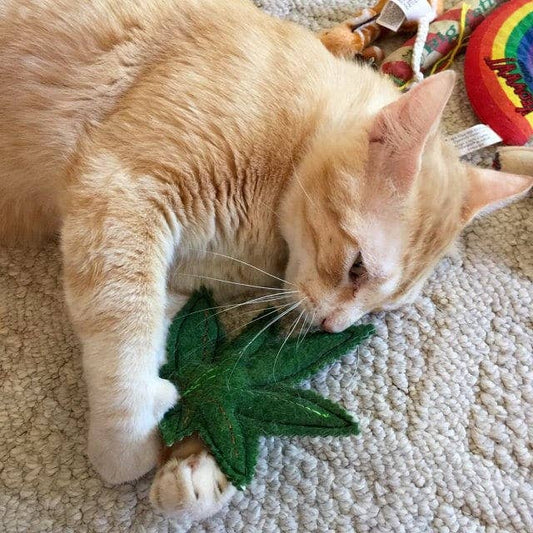 Meowy Wowyy Leaf and Joint Catnip Toys