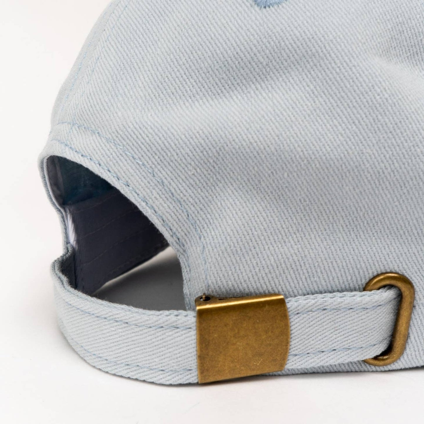 Sky Blue Dog Person Baseball Hat