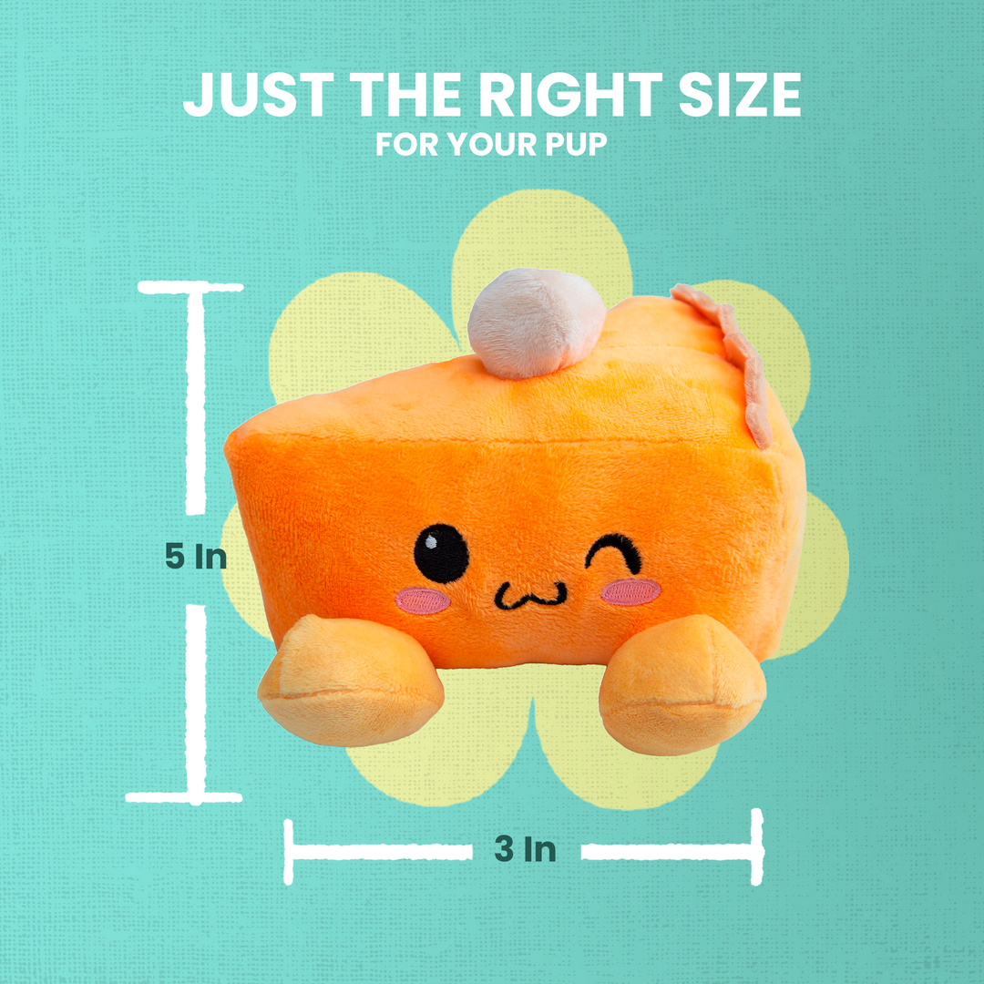 Pumpkin Slice Dog Toy