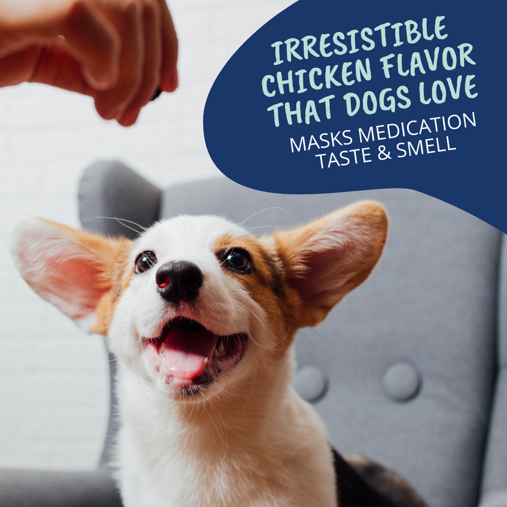 Under The Weather Pill Wrap for Dogs