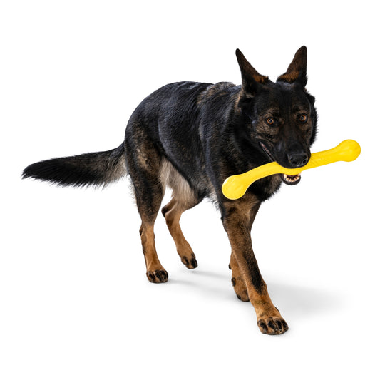 Zwig® Dog Toy For Play, Tug, and Fetch
