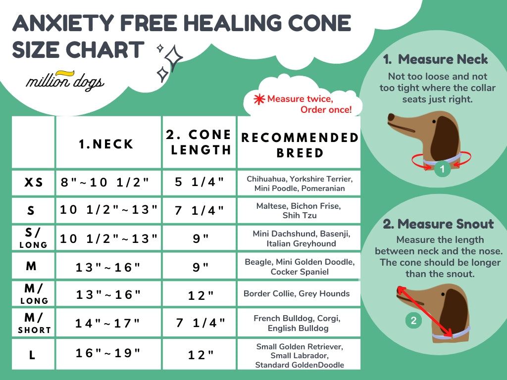 Soft Recovery Cone - Blue