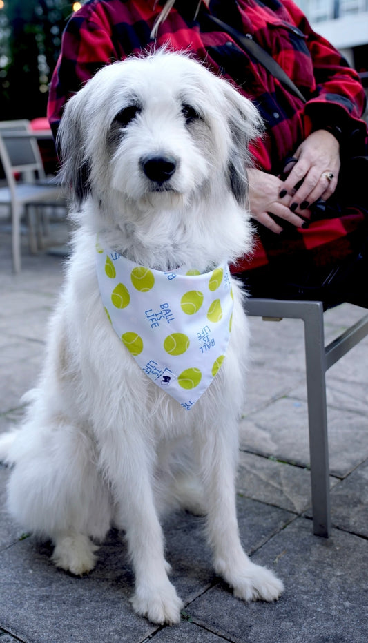 Ball is Life Reversible Dog Bandana
