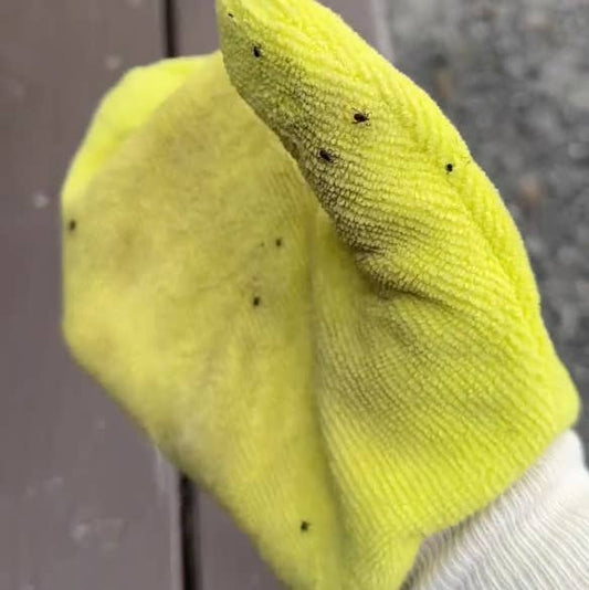 TiCK MiTT: Tick Remover For Pets & Outdoor Lovers