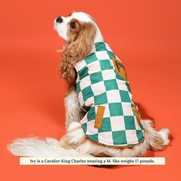 You're a Square Reversible Teddy Vest