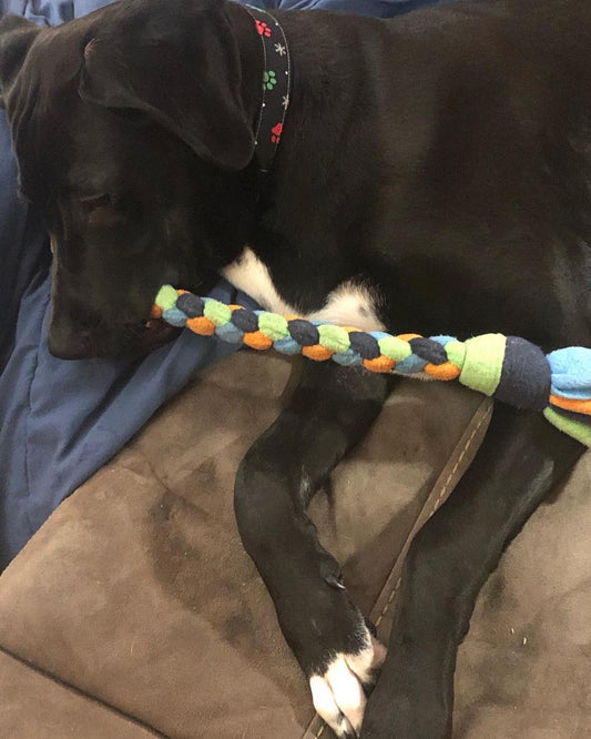 Hand Braided Quad Braid Dog Pull Toy - Large