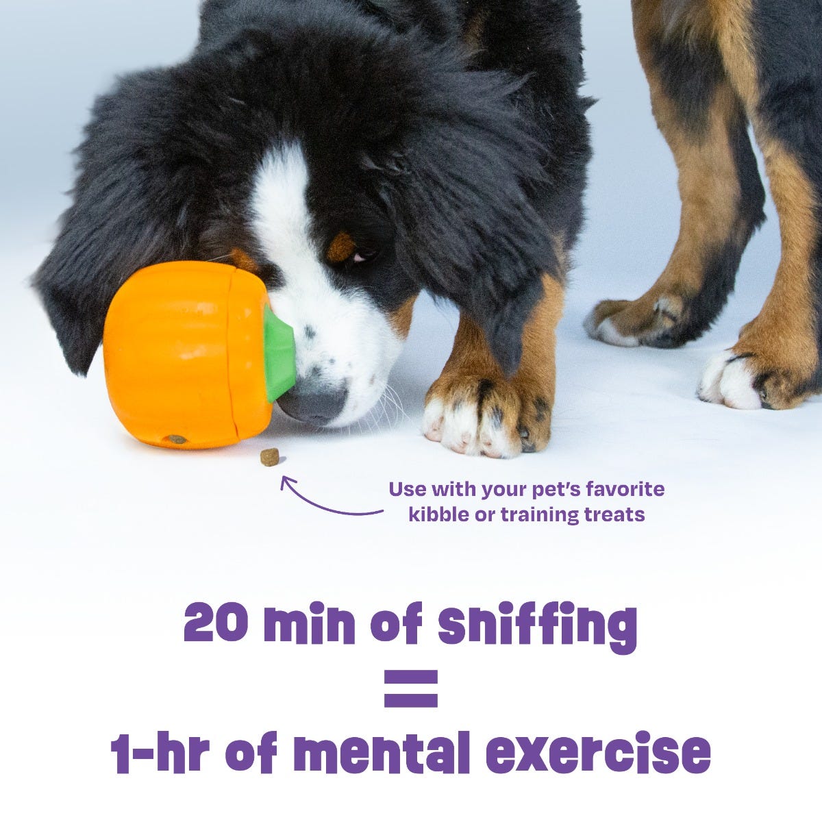 Tough & Tumble™ 2-Piece Treat Dispenser: Pumpkin