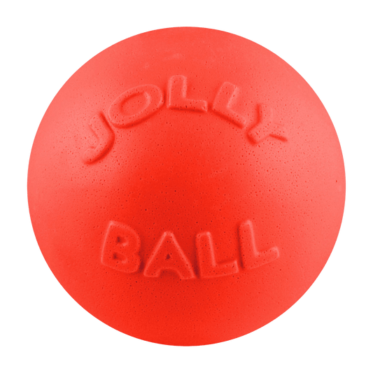 Jolly Pets Bounce N Play Dog Toy