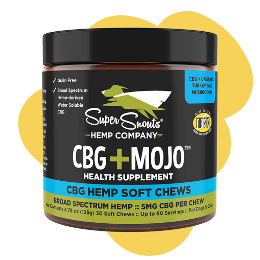 CBG+Mojo Immune Support Hemp Chew - 30 ct