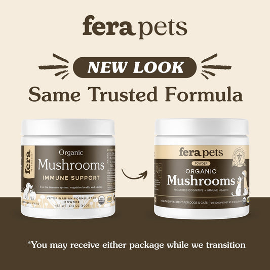 USDA Organic Mushroom Blend for Immune Support