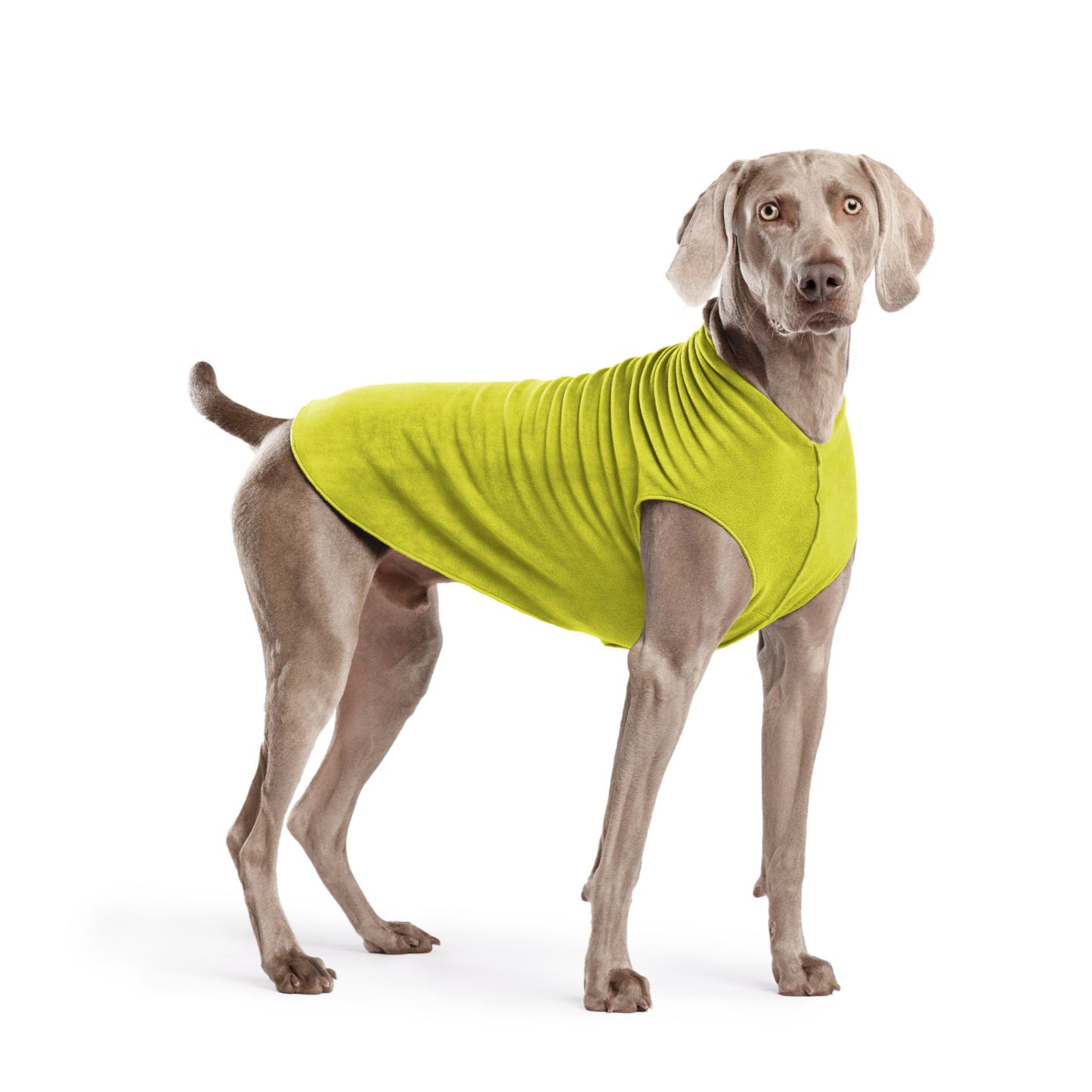 Avocado Stretch Fleece