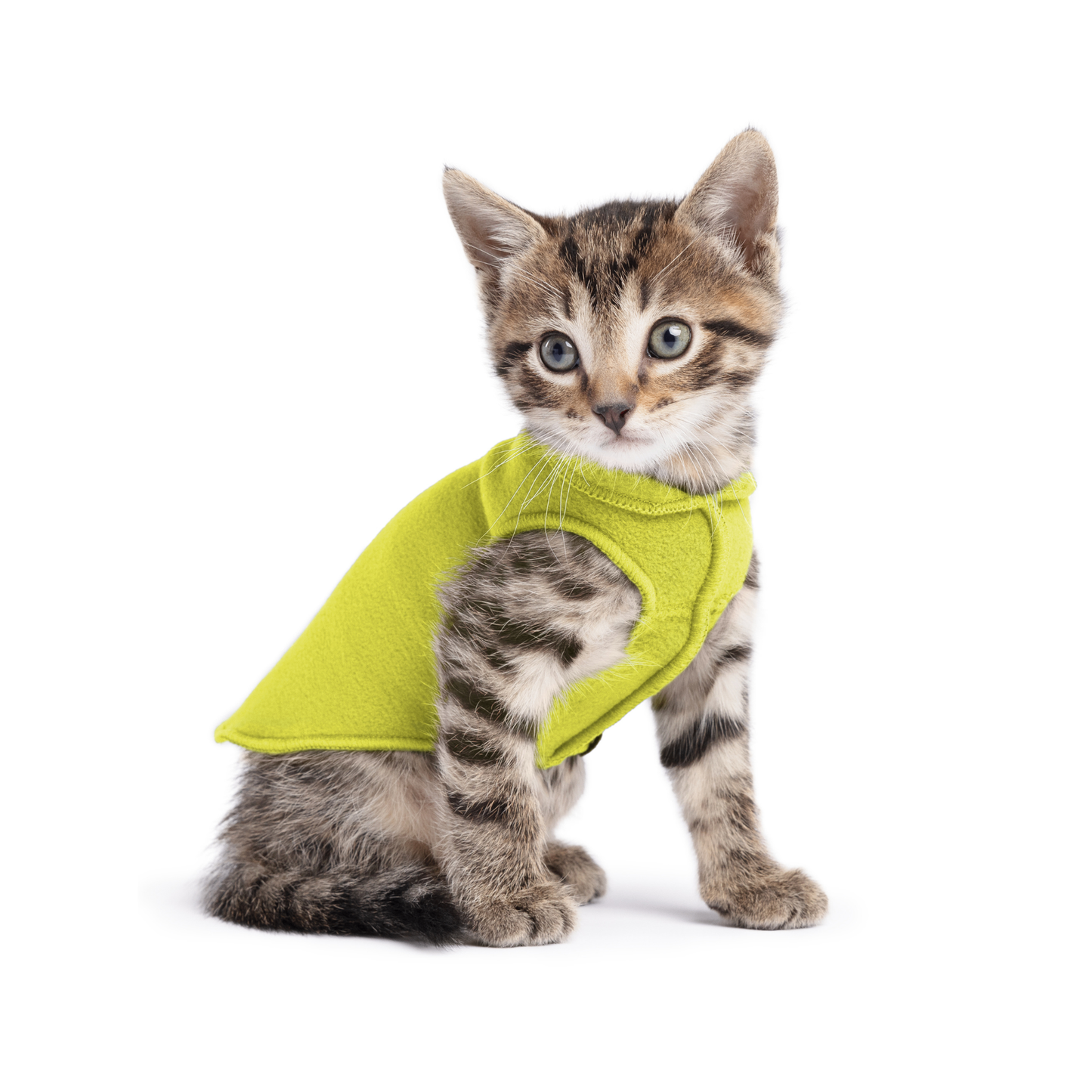 Avocado Stretch Fleece
