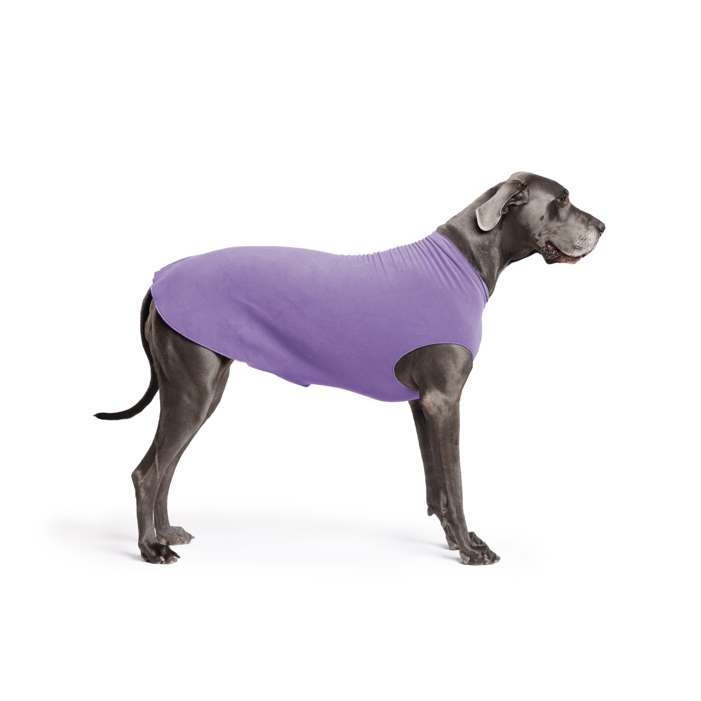 Lavender Stretch Fleece