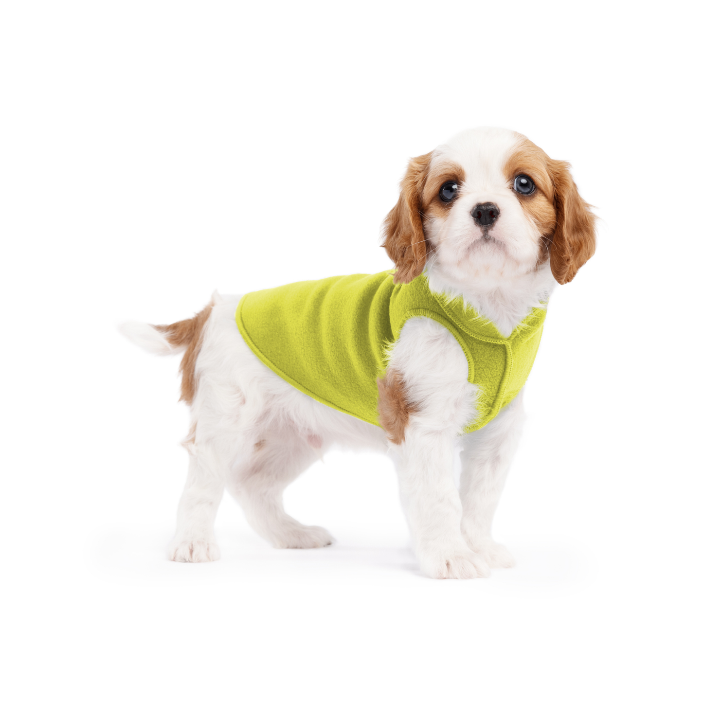 Avocado Stretch Fleece