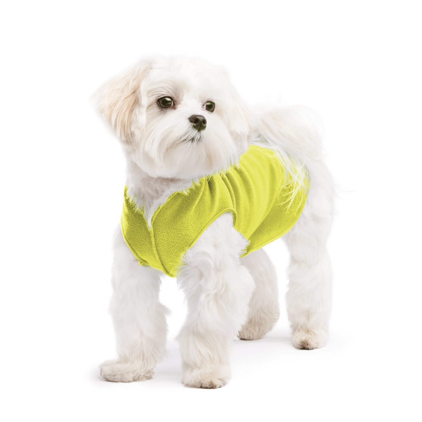 Avocado Stretch Fleece