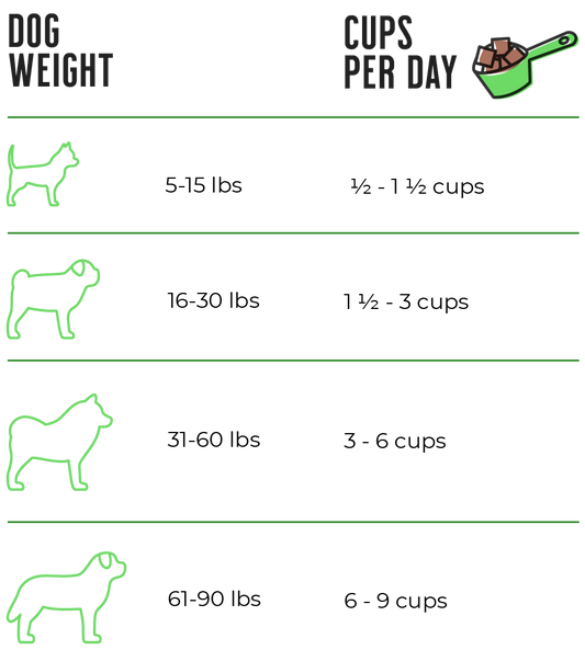 Raw Dynamic Freeze-Dried Raw Chicken Formula for Dogs