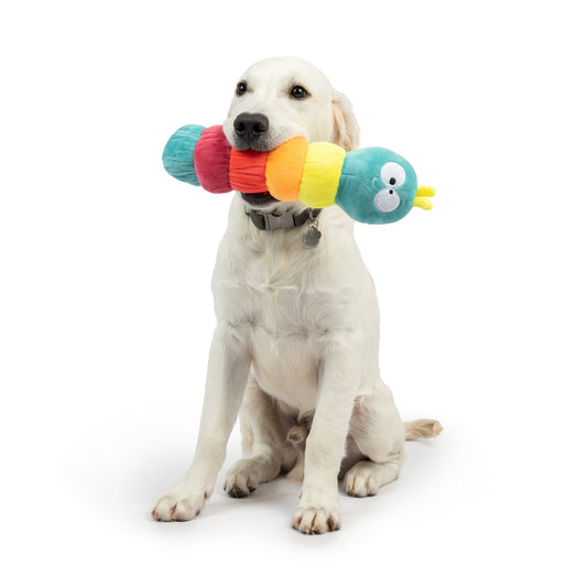 Caterpillar Dog Toy - Large 13"