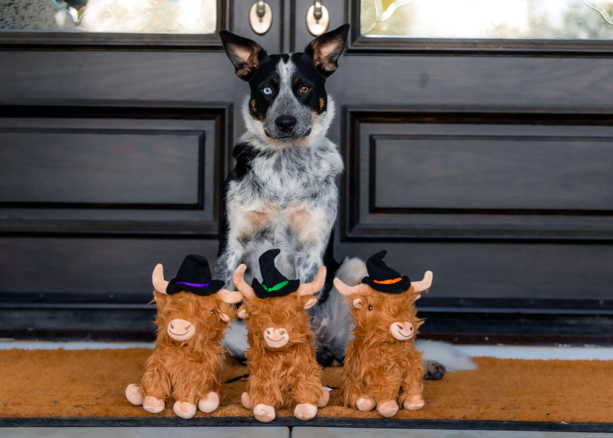 Highland Cow with Witch Hat - 8"