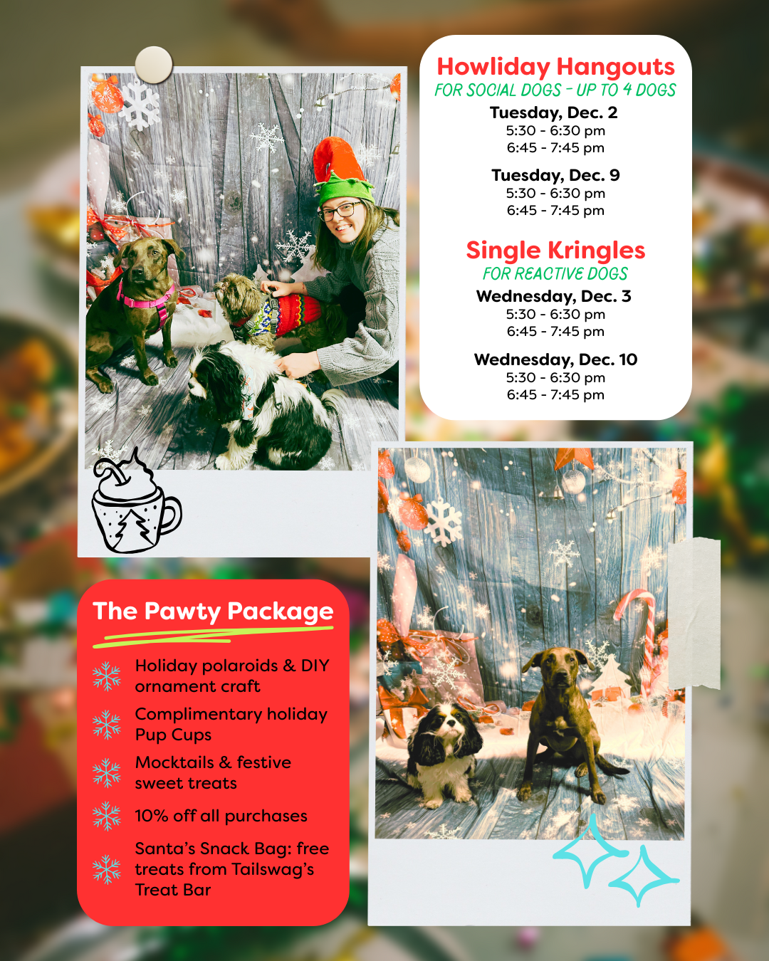 2025 Holiday Parties at Tailswag