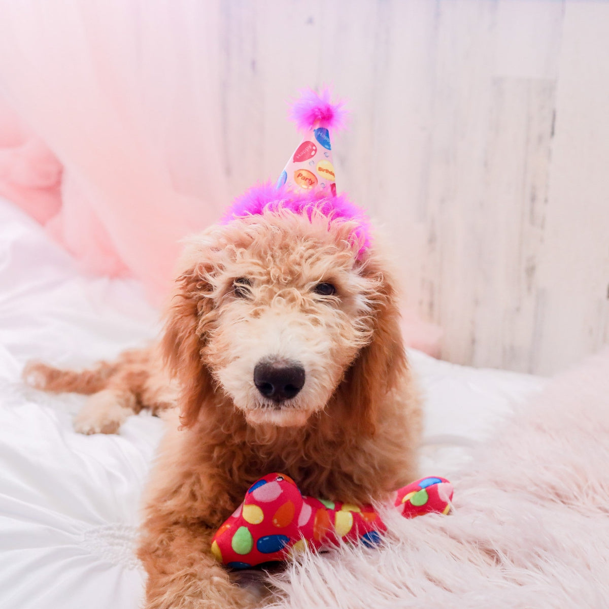 Pink Party Time Hat With Snugfit