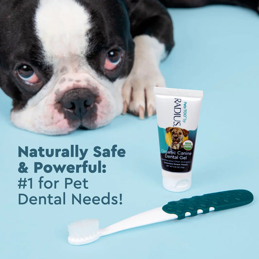 Radius Organic Dog Dental Gel - 3 oz