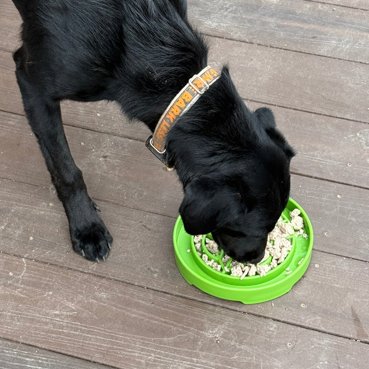 Garden Design eTray Enrichment Shallow Slow Feeder Dog Bowl