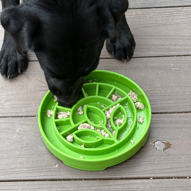 Garden Design eTray Enrichment Shallow Slow Feeder Dog Bowl