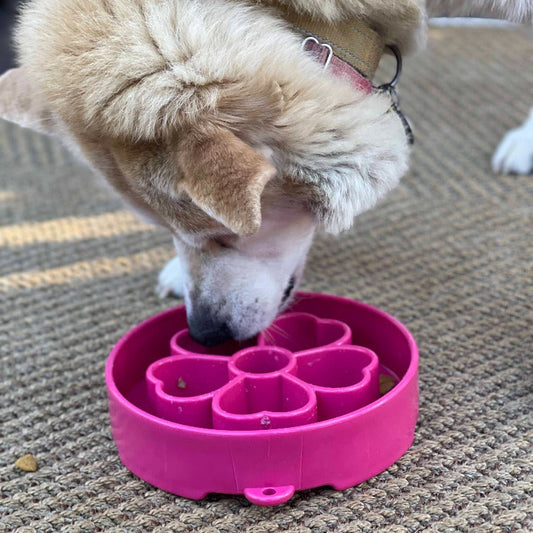 Flower Design eBowl Enrichment Slow Feeder Bowl for Dogs - Pink