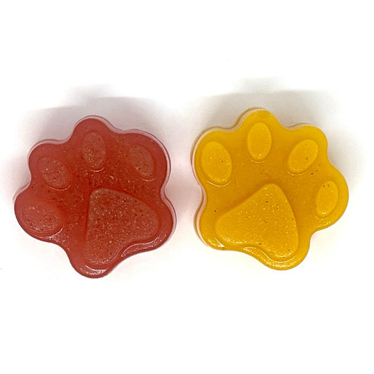 Dogtastic Paw Print Silicone Mold