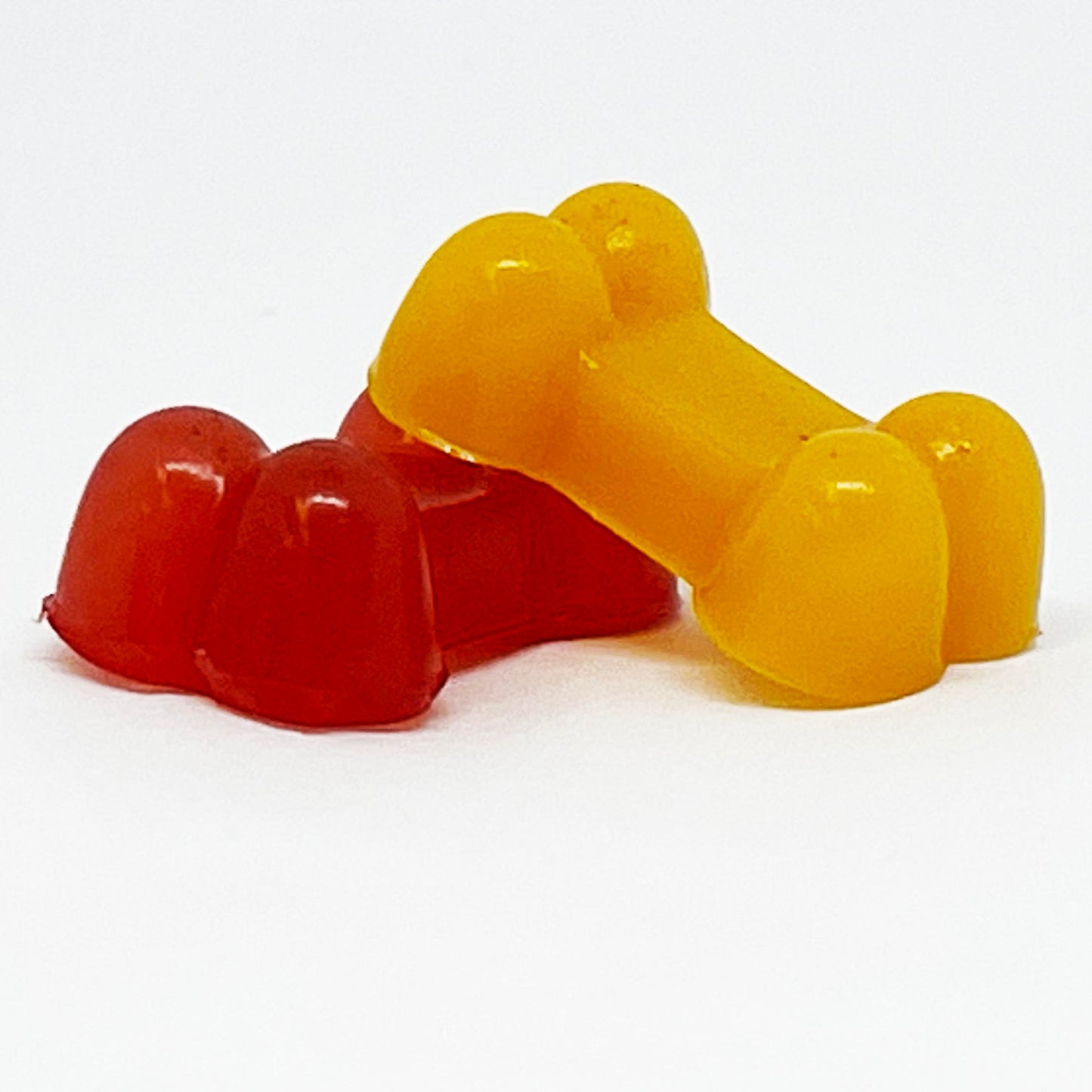 Dogtastic Bone Shape Silicone Mold